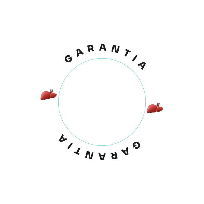 garantia